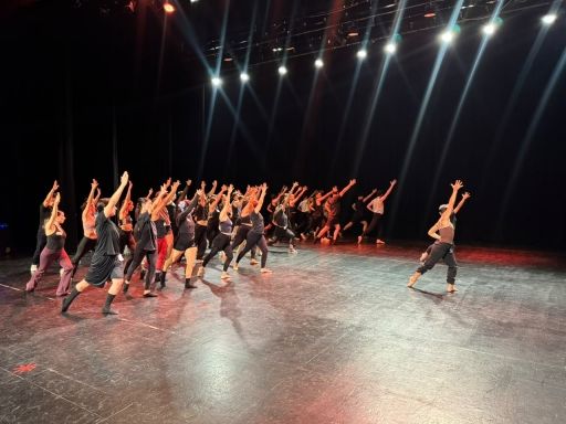 003_MAYS_DE_100_TALENTOS_COAHUILENSES_PARTICIPAN_E_N_LAS_AUDICIONES_DE_NOTRE-DAME_DE_PARIS17_uploaded_v1_2.jpg