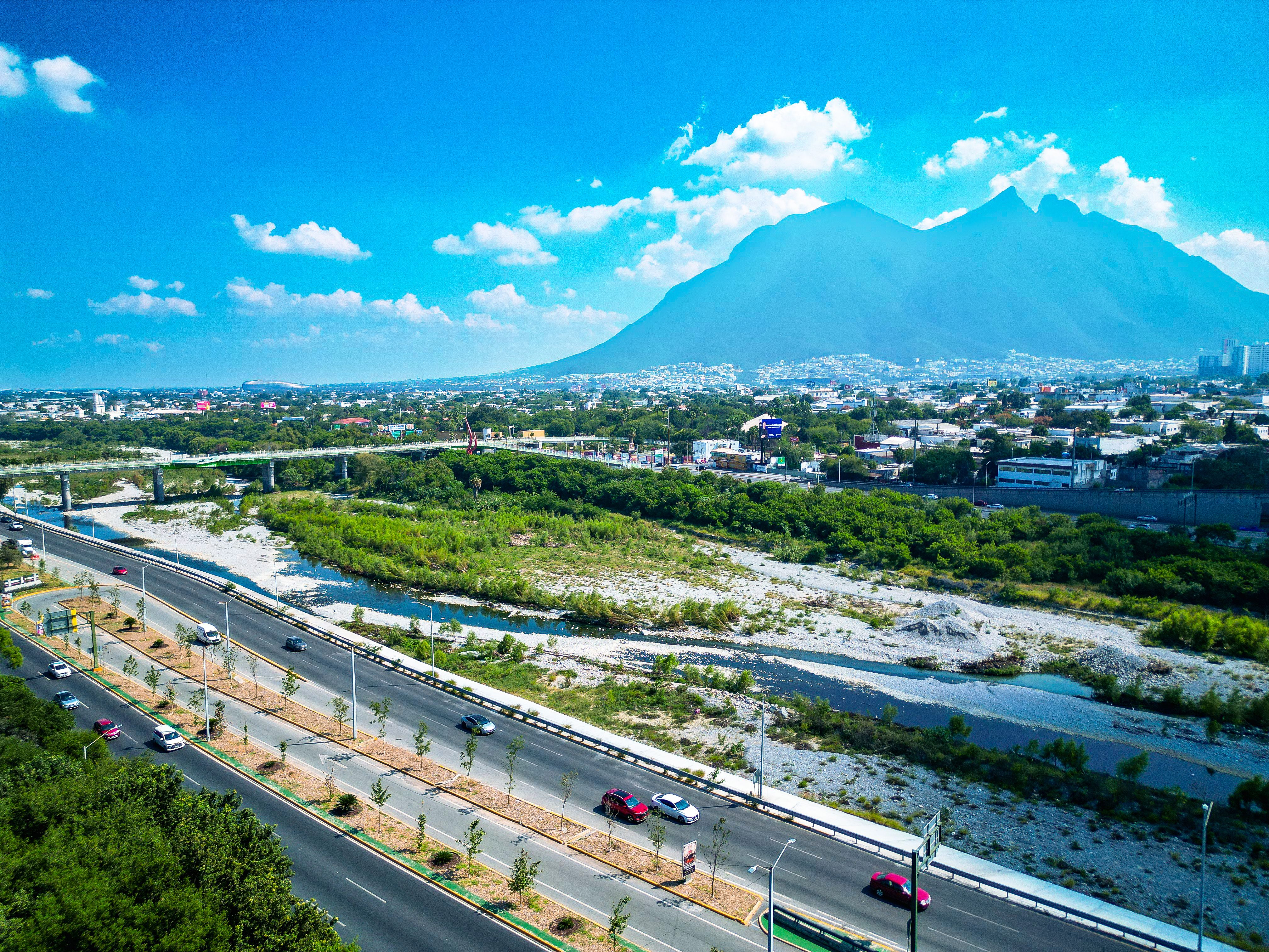 01 Nuevo León, Ejemplo Mundial En Reforestación..JPG