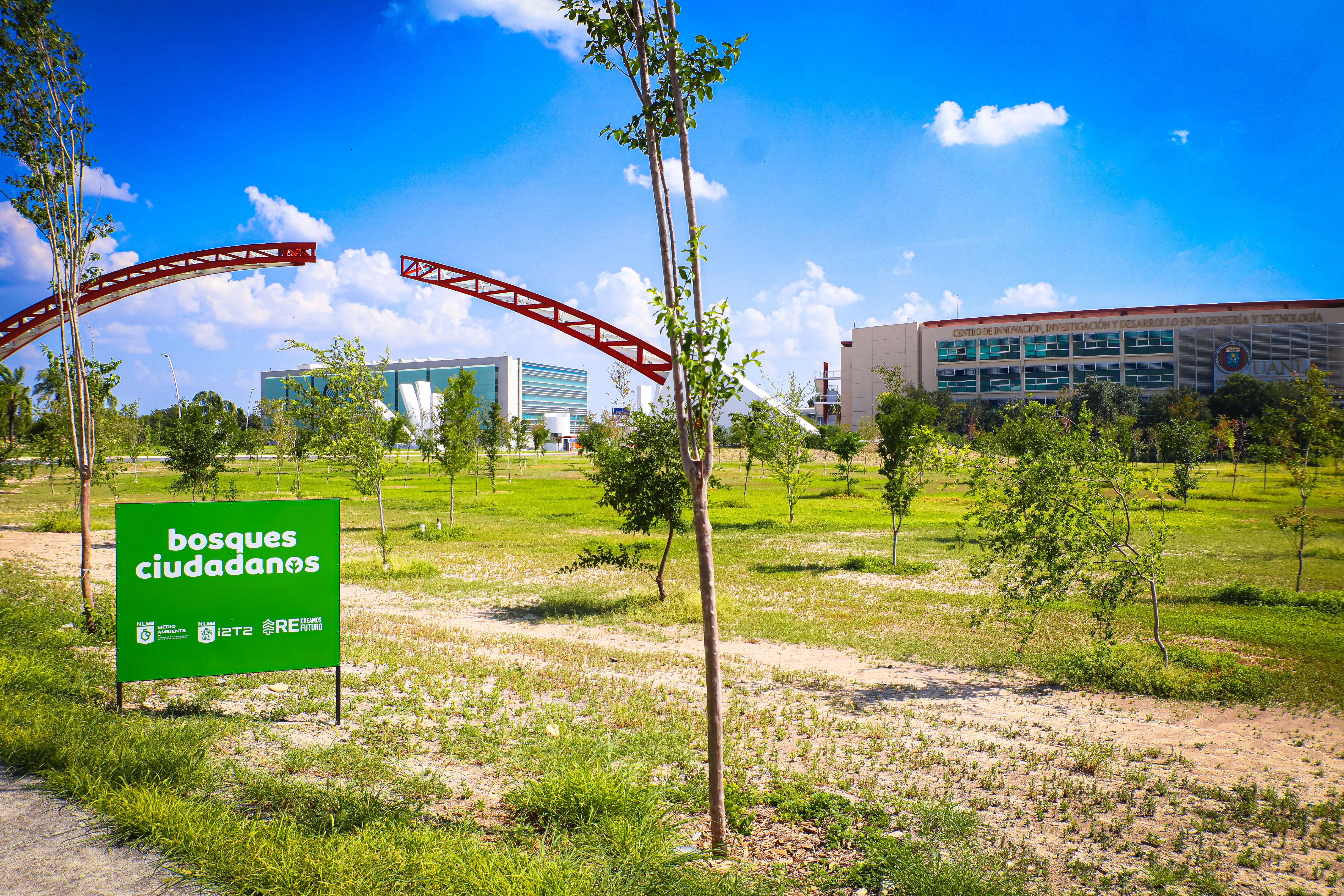02 Nuevo León, Ejemplo Mundial En Reforestación..JPG