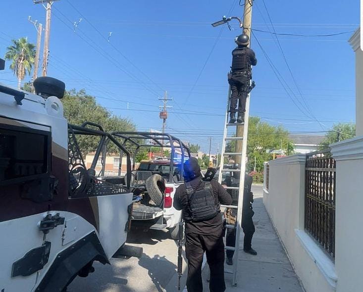 04d41a3c-e744-4672-a8de-65f59831d17d.jfif