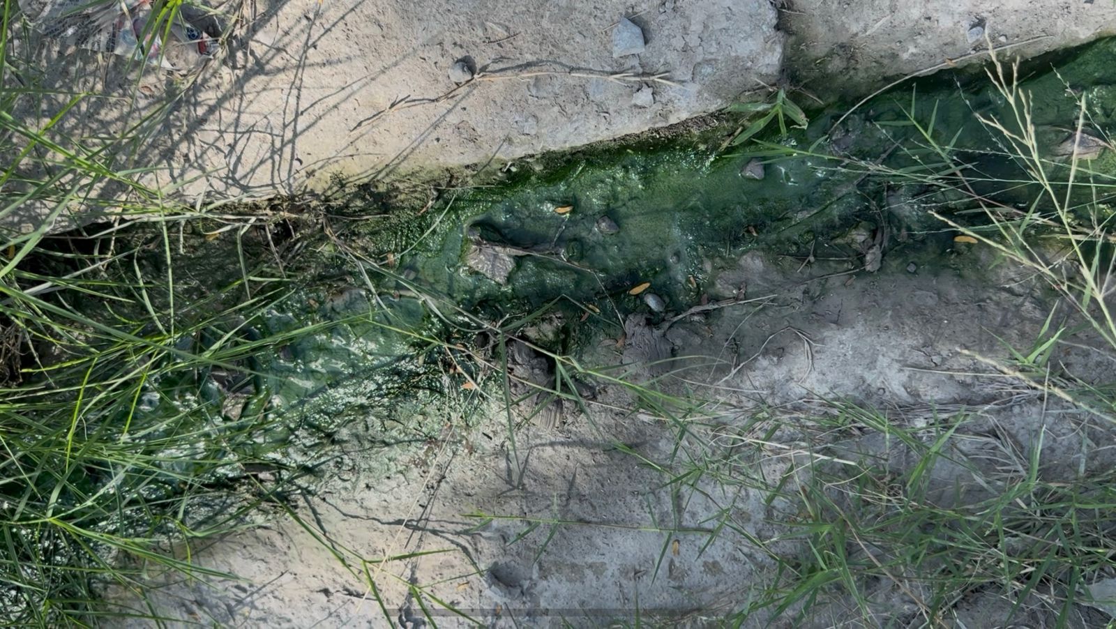 04fcbc7d-7416-4092-a9f8-e0d69f85a86d.jfif