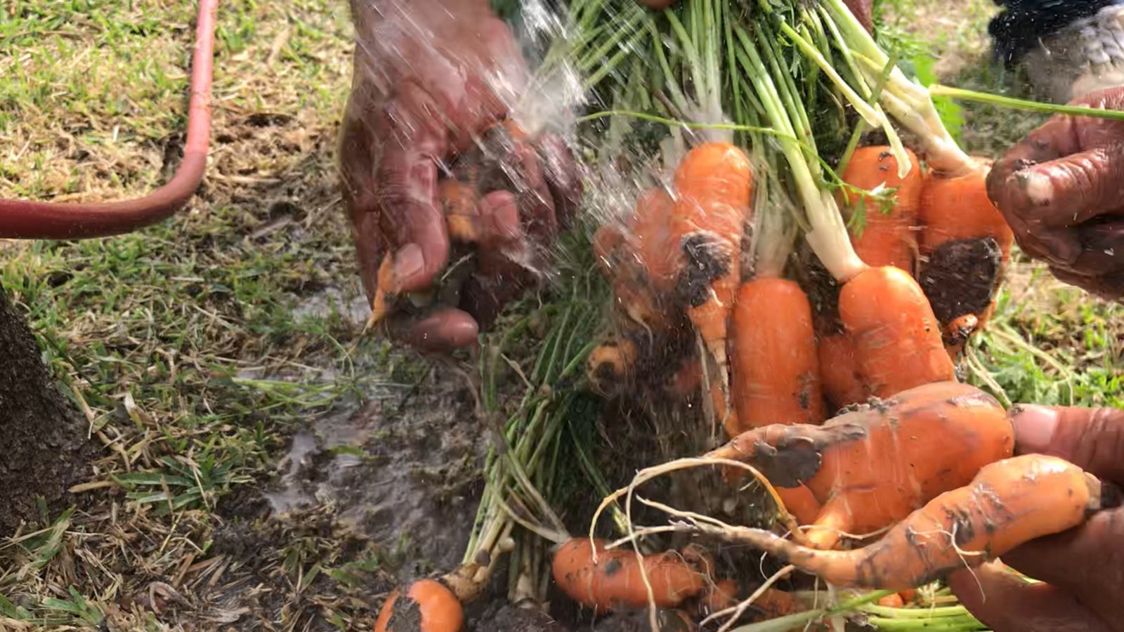 08576461-68c8-4cff-b51c-0d801f77b8be.jfif