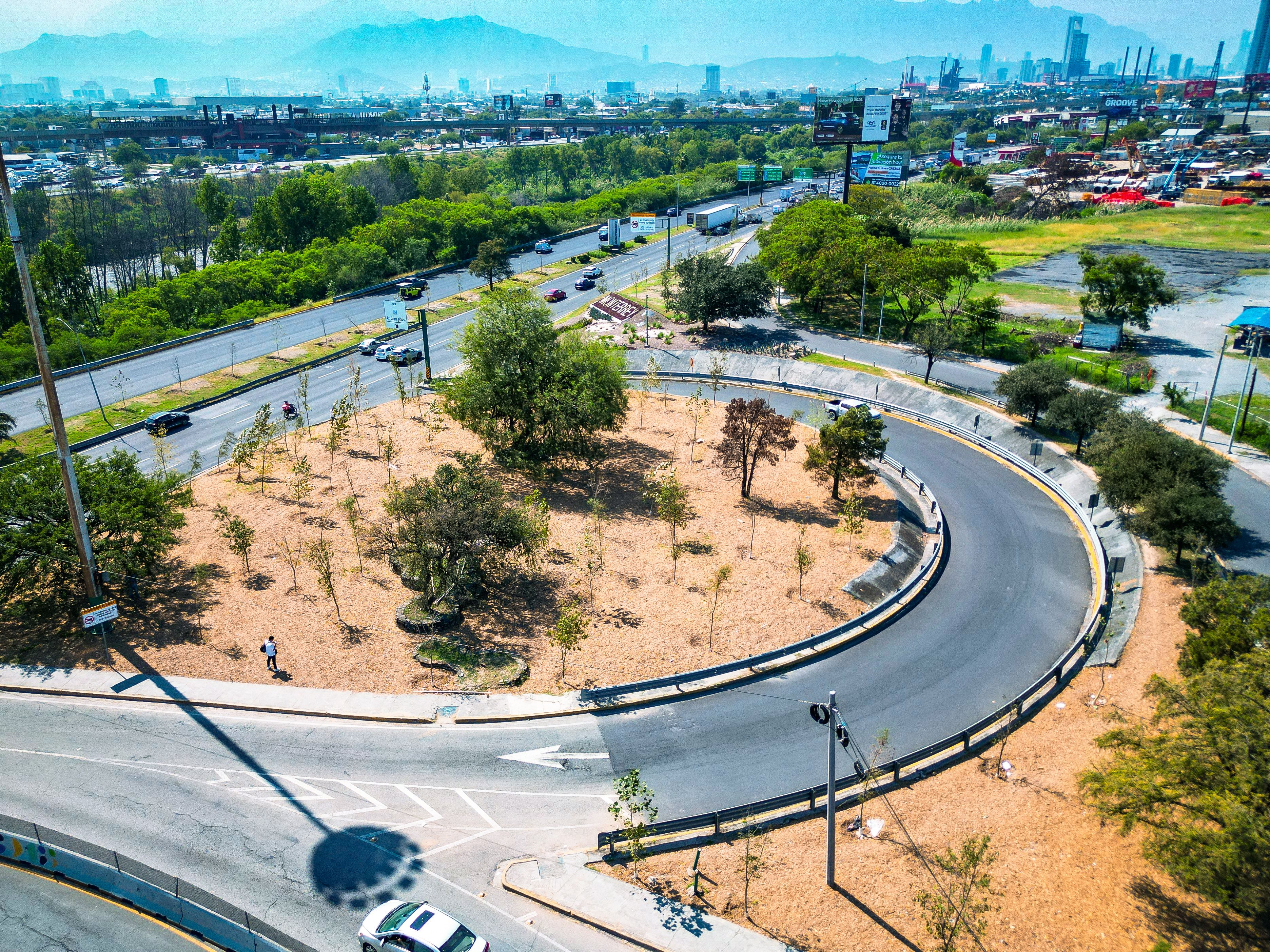 08 Nuevo León, Ejemplo Mundial En Reforestación..JPG