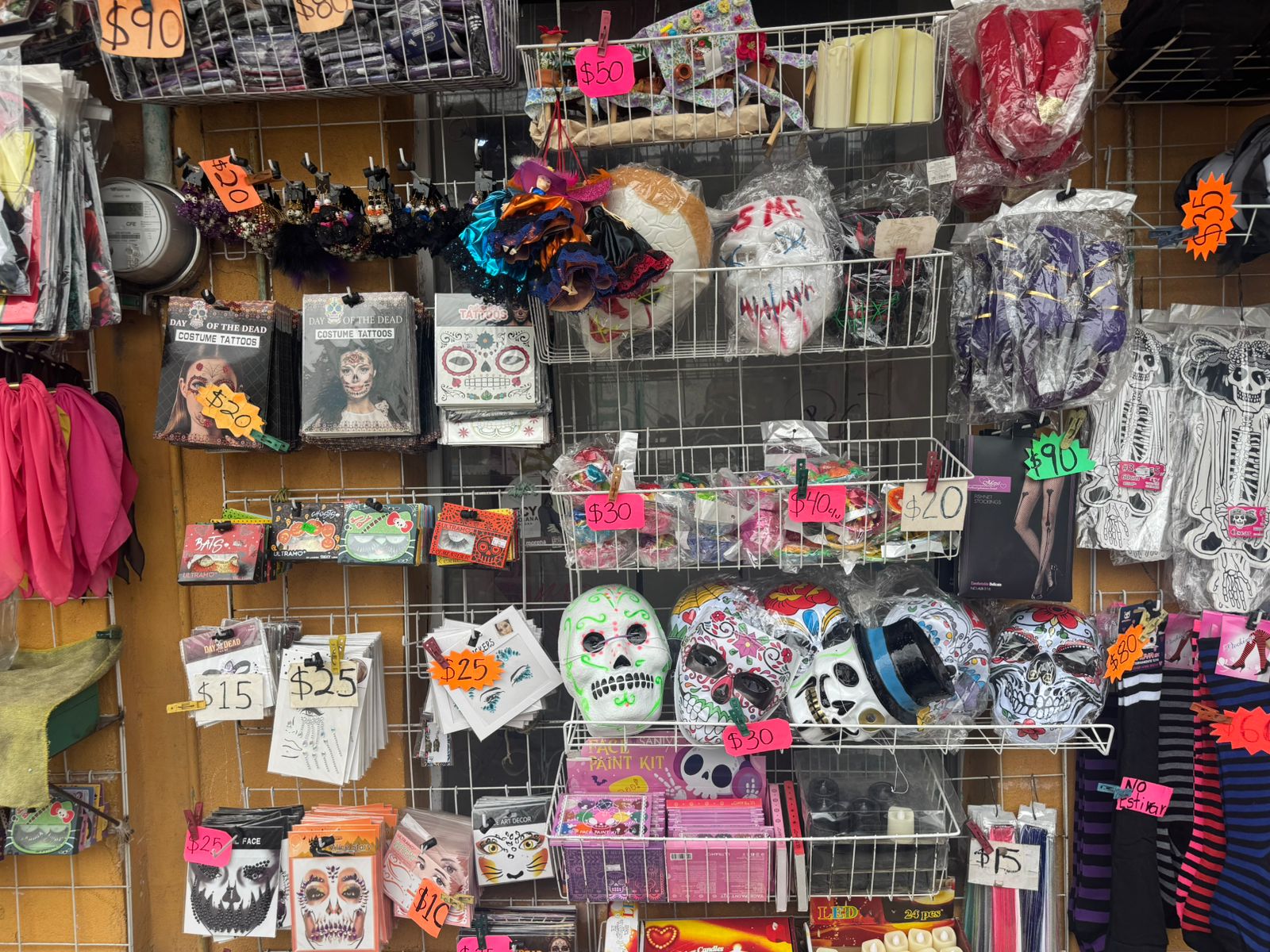 0a90958f-1bd6-47d8-b3aa-f91c9e7c0686.jfif