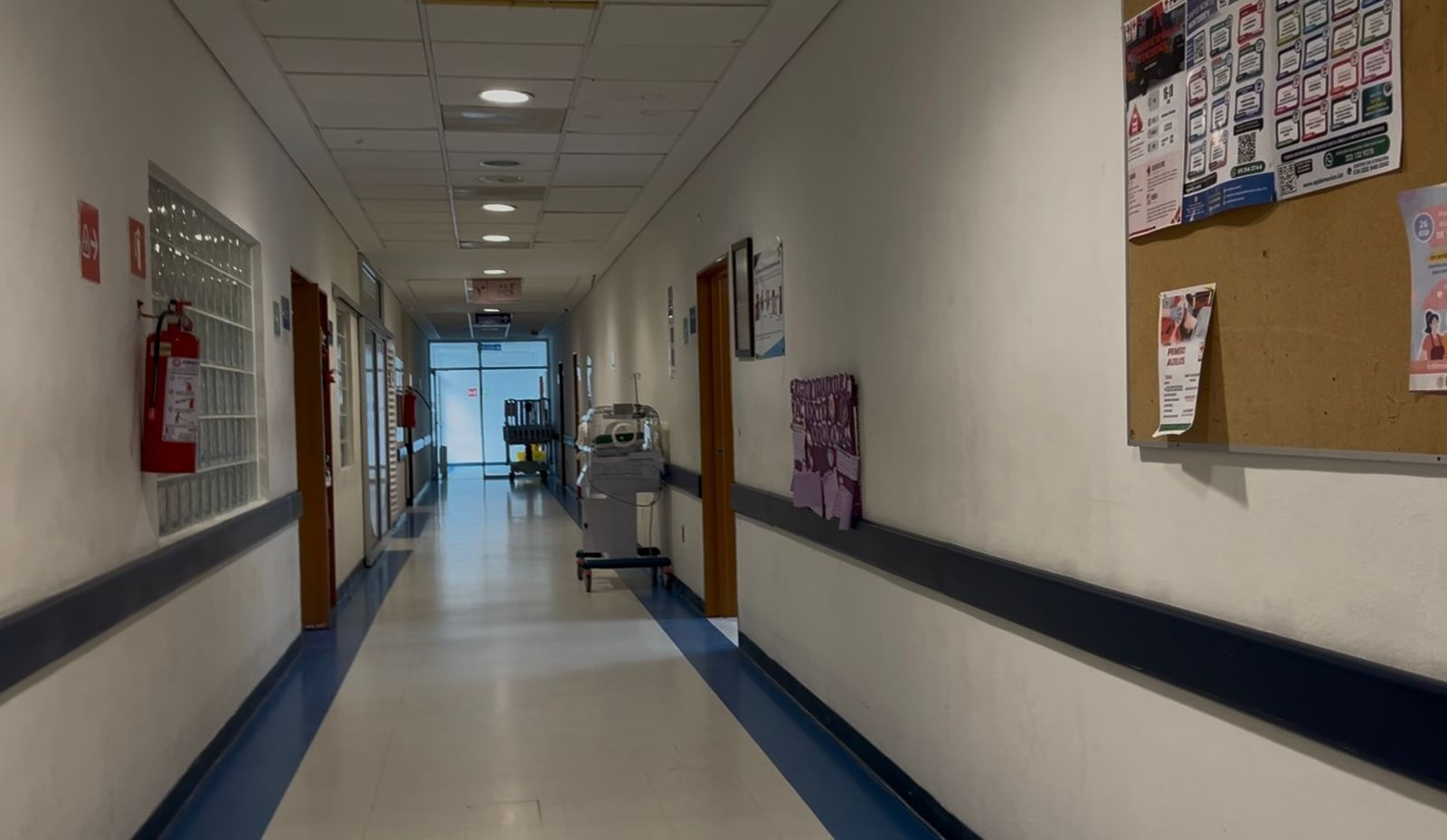 0b72bd15-d53b-416b-843e-1e26fd8ec561.jfif