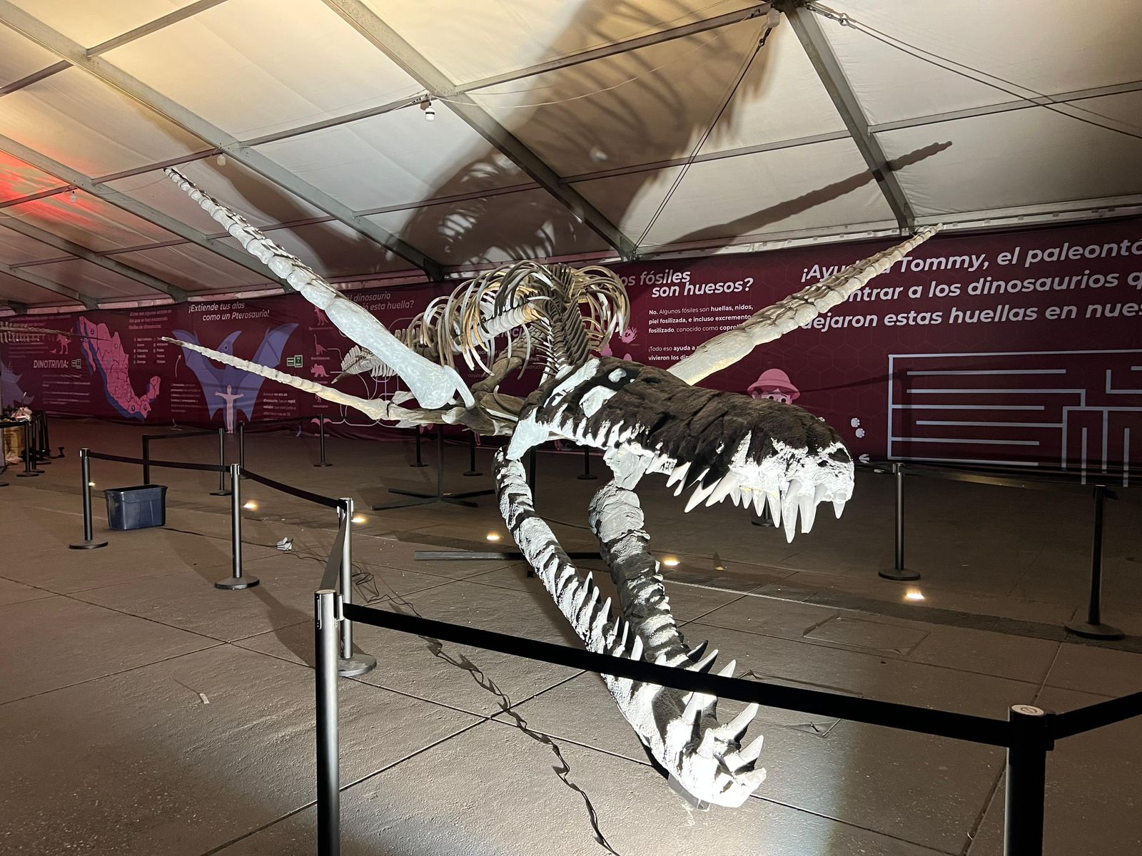 11cf6dae-e2ea-4ee3-8451-42741d86db2f.jfif