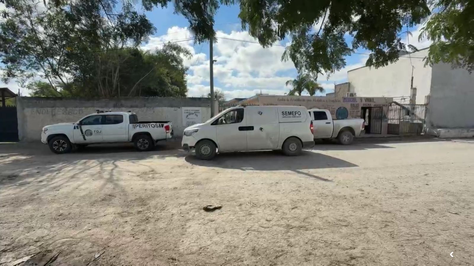 1498c37a-5662-4d87-8c7c-433a28e419cf.jfif