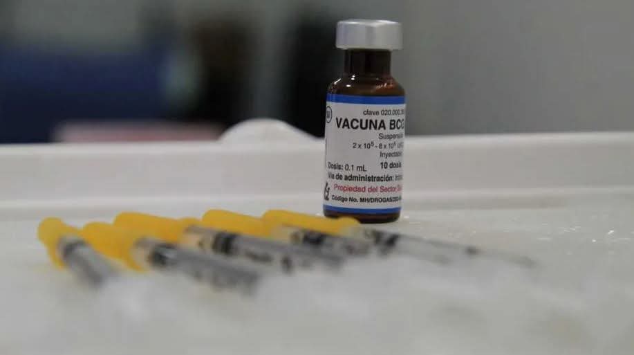 14fdd5f1-108a-4de7-824b-12ca29475b3e.jfif