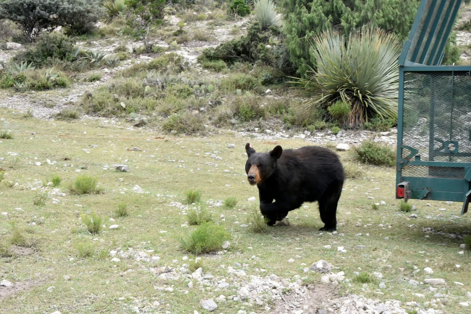 1657fe80-72c3-46b5-a62e-58a5c899e661.jfif