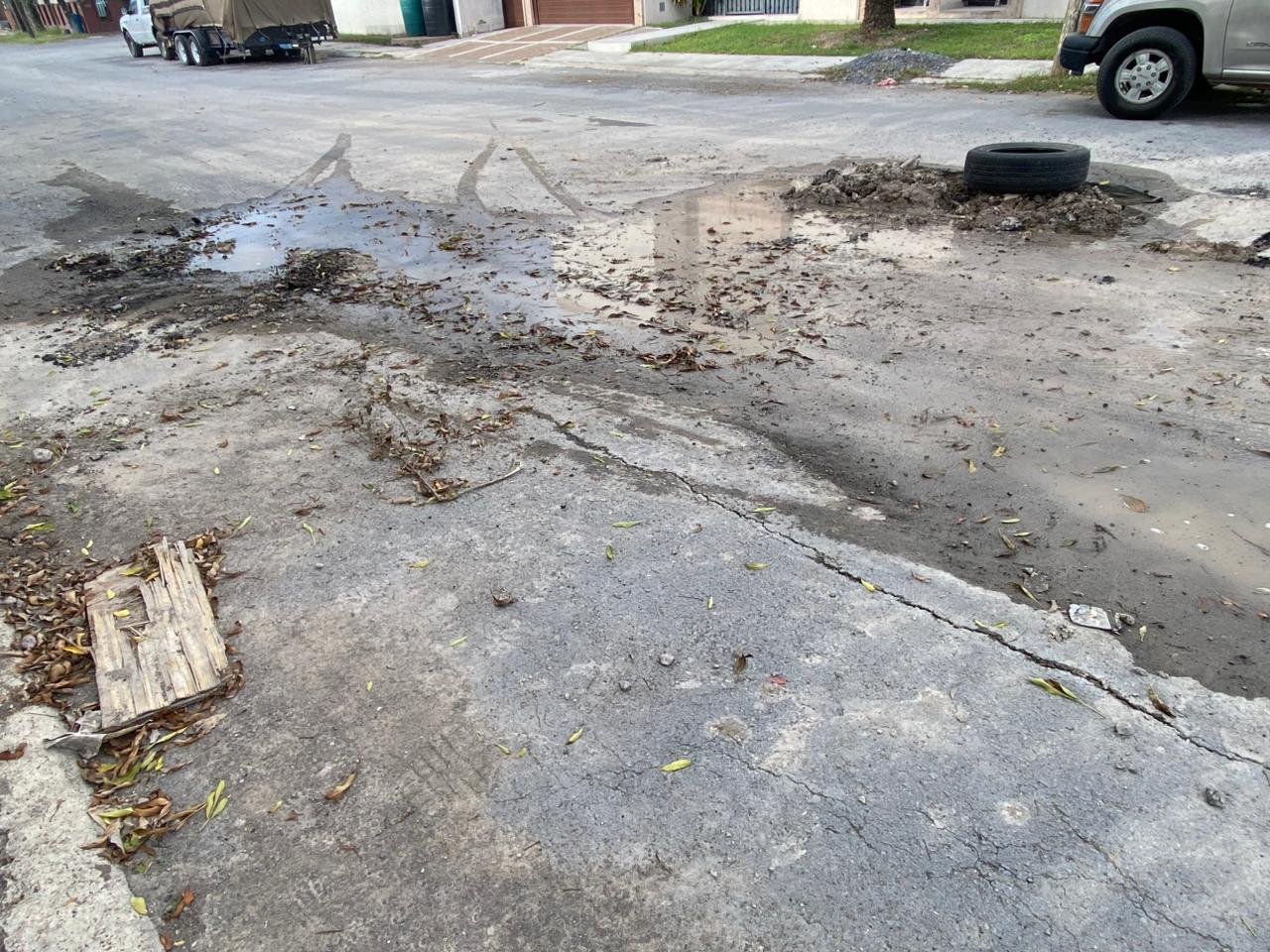 1b7e0312-419f-417f-b43d-831f9c48d1b1.jfif