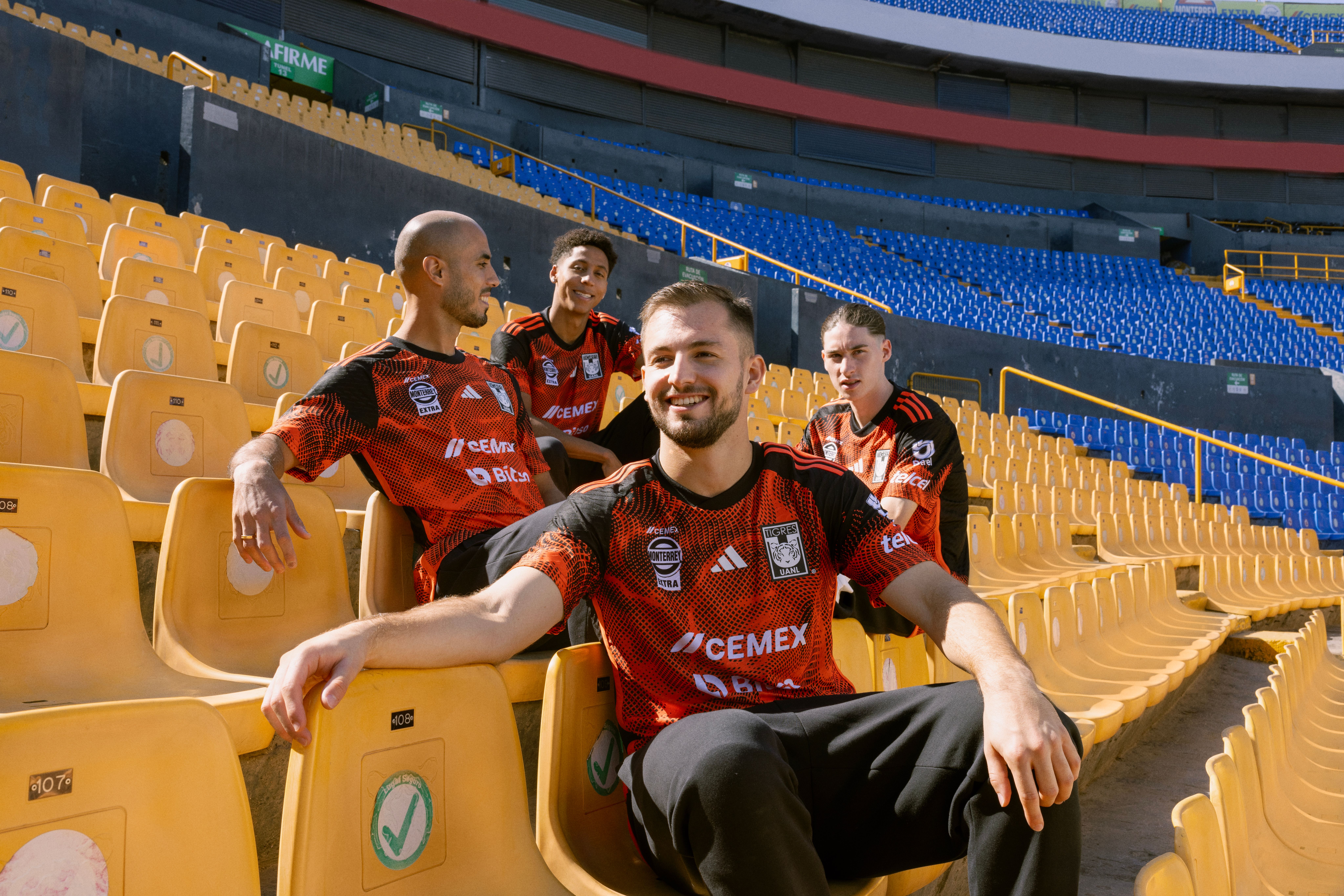 20231124 - TIGRES7558.jpg