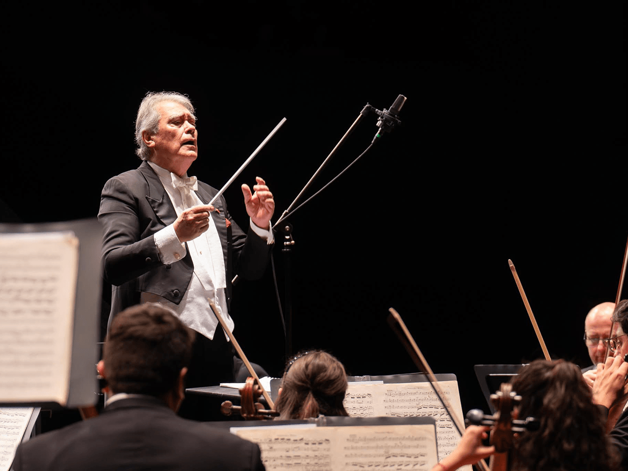 20250416_05_musica_ beethoven_cultura_03.png