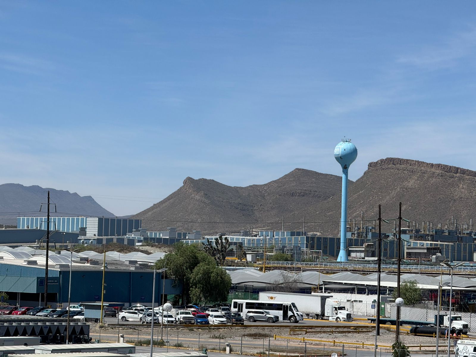 203790c6-922e-4a65-895b-b1bc6fa35782.jfif