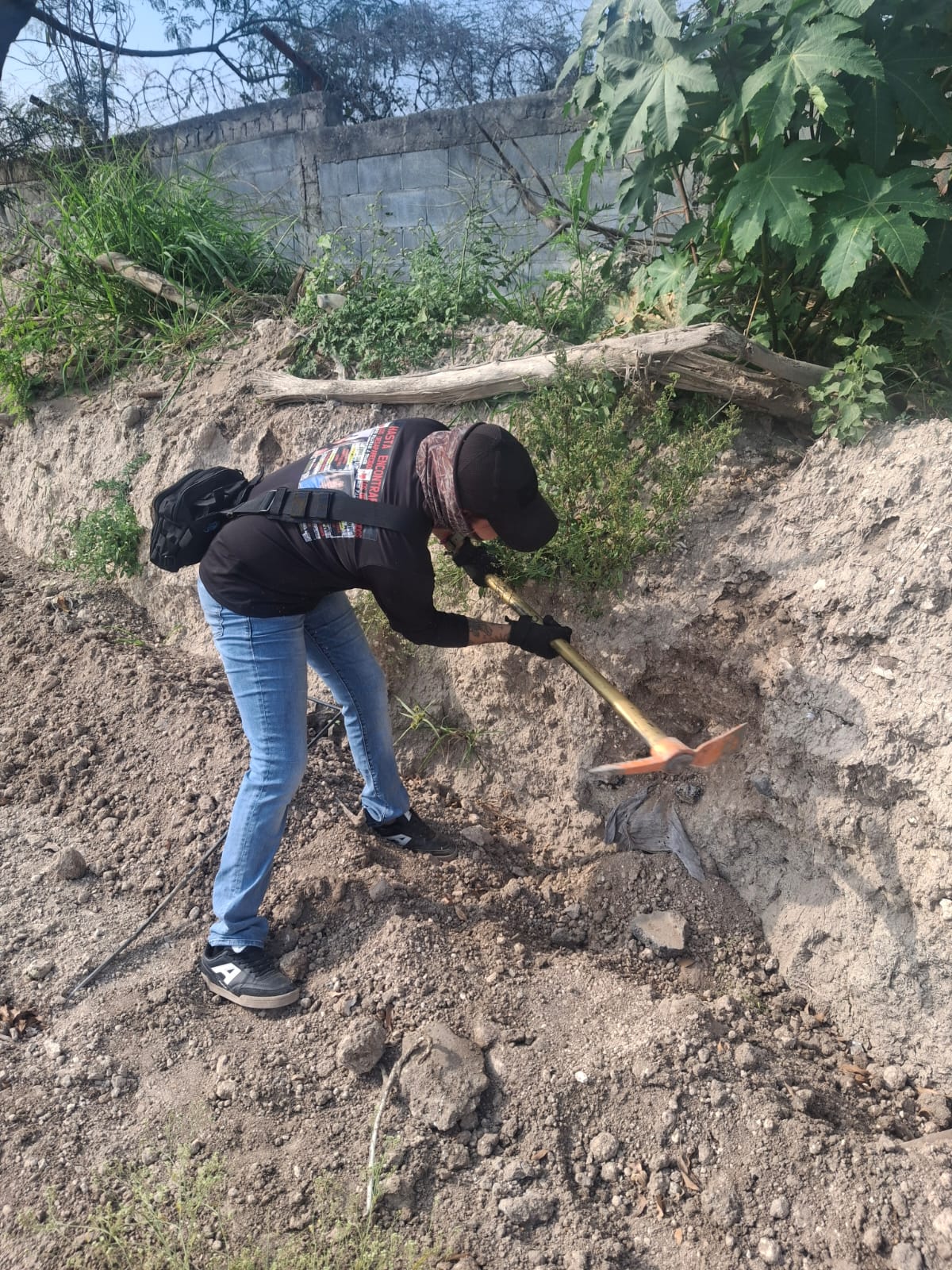 2390b282-3def-4403-93a6-63c22d101afd.jfif