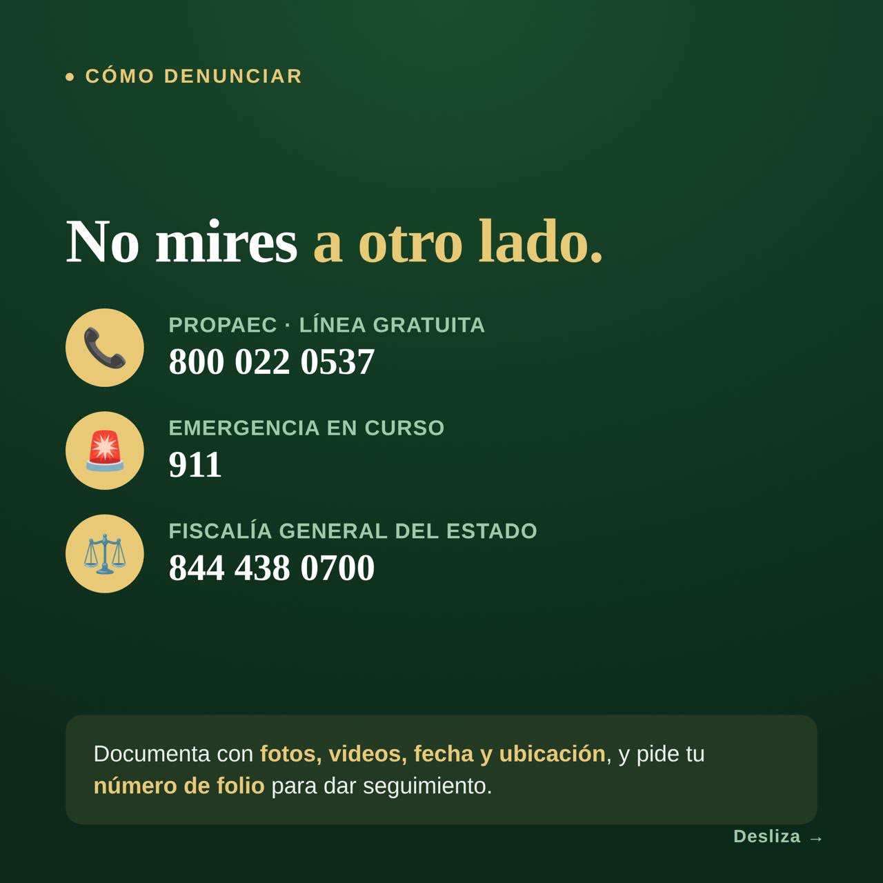 26d955d2-caf9-42c1-9f39-92b4fdb3d352.jpeg