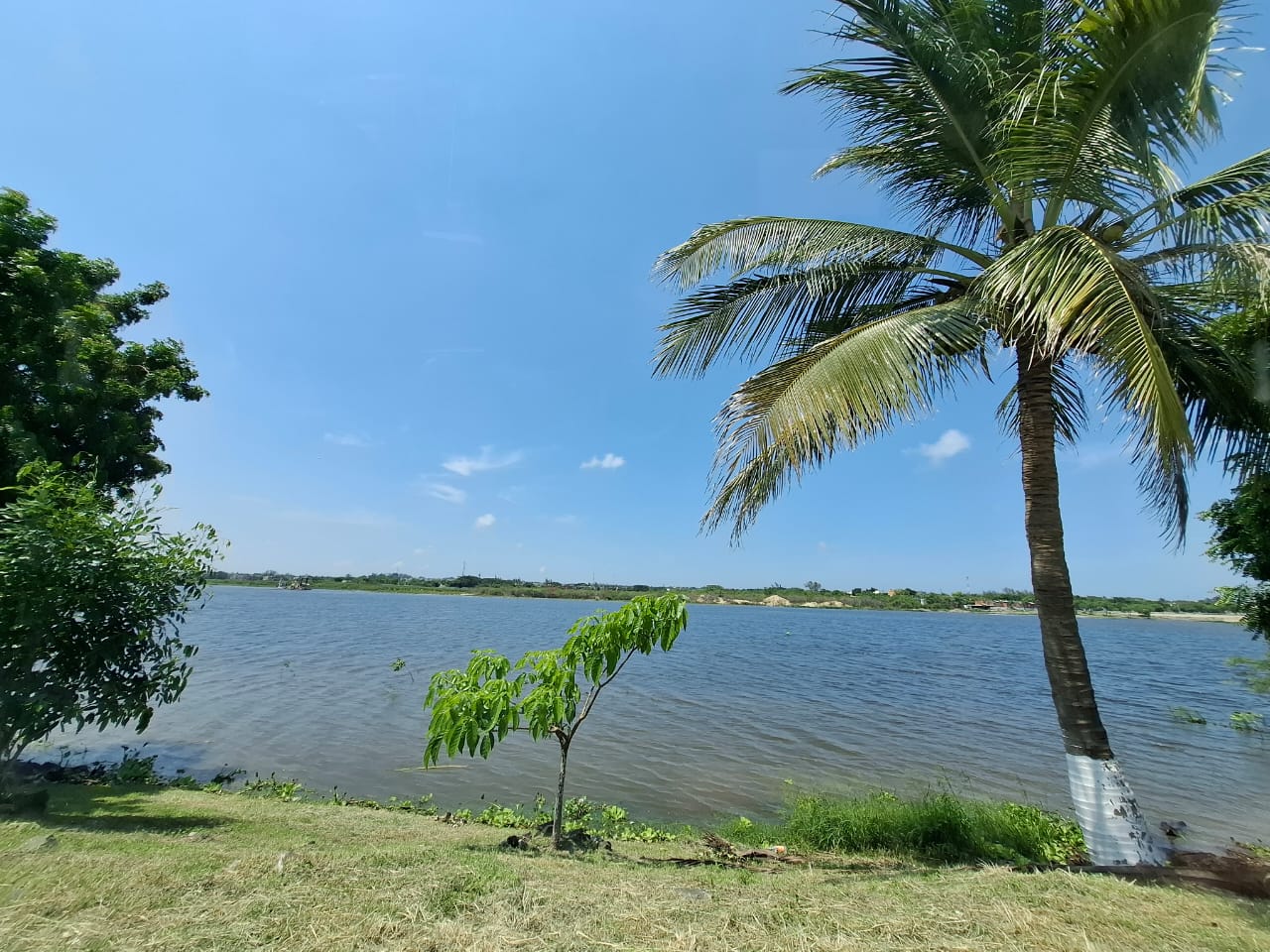 2709f34c-2acf-4baf-b1f0-8f0d8b01d293.jfif