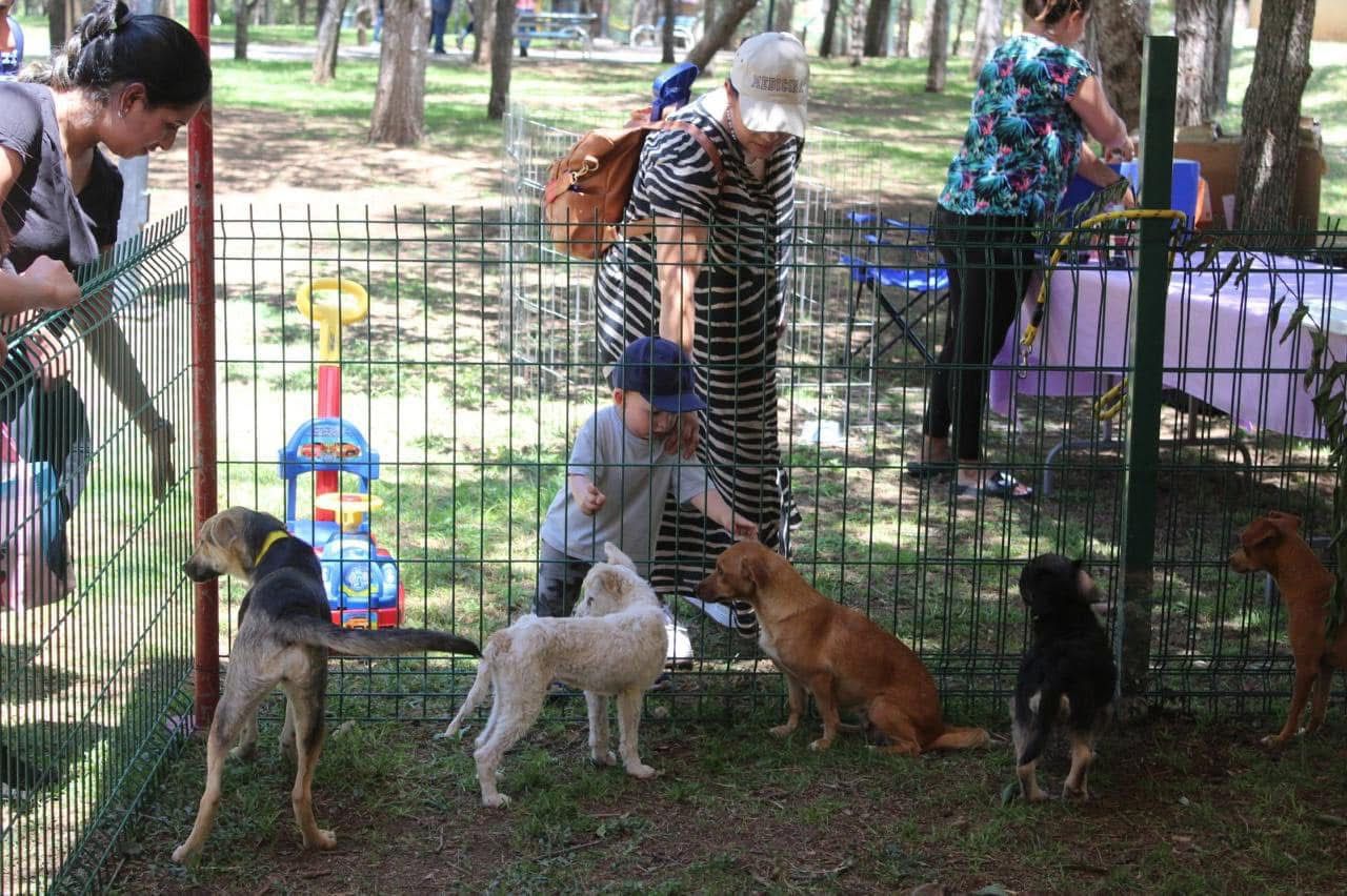 29441484-7101-481d-8bf0-19f14b510c2b.jfif