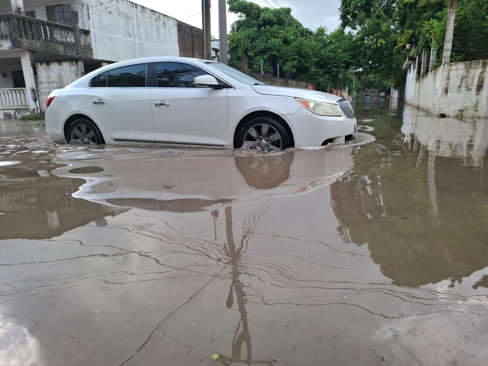 2e541689-4264-407b-94cd-3338ad0d6aed.jfif