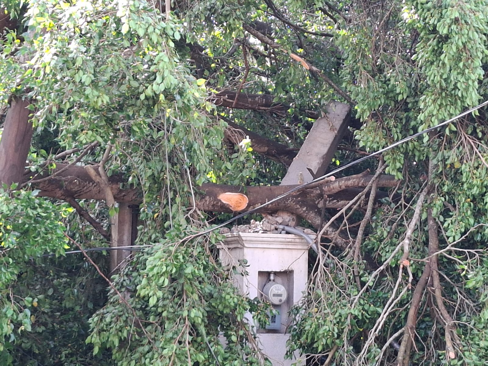 337cf67f-c195-4a6e-96b3-6f4515f20d31.jfif