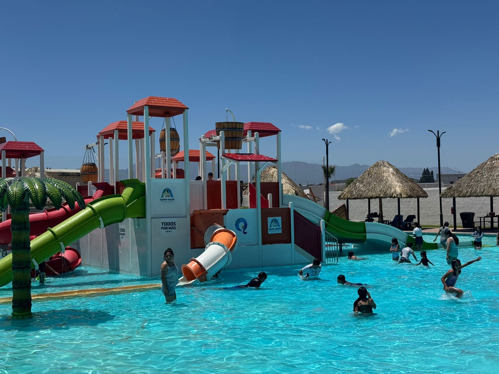 33eaf3dc-aea6-4671-bb26-d3d4c9850e0e.jfif