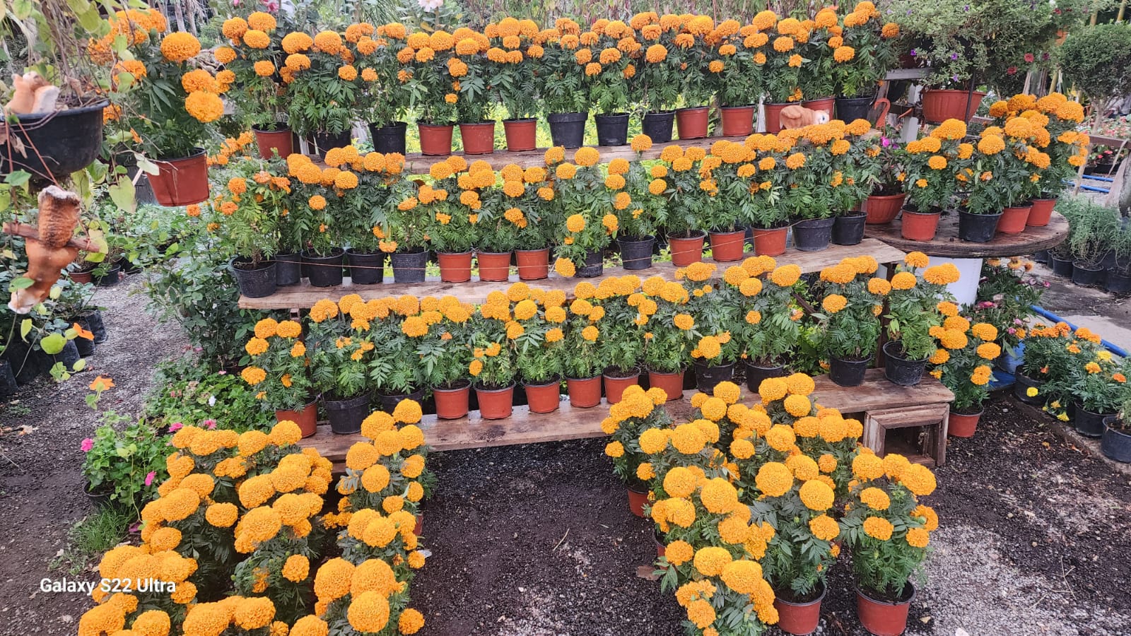 3d637208-f1c0-4f6e-99fc-0ac3457868a3.jfif