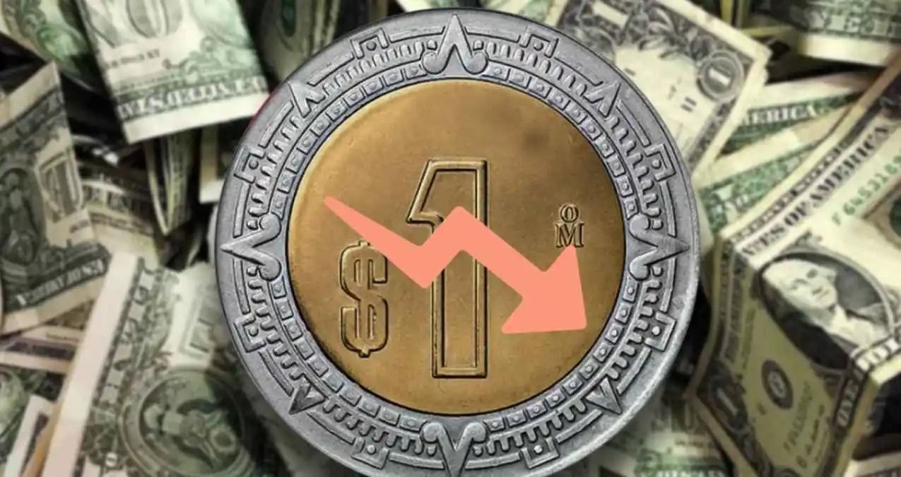 43abc498-6239-4f50-8cfb-0ea3ad9b68cf.jfif