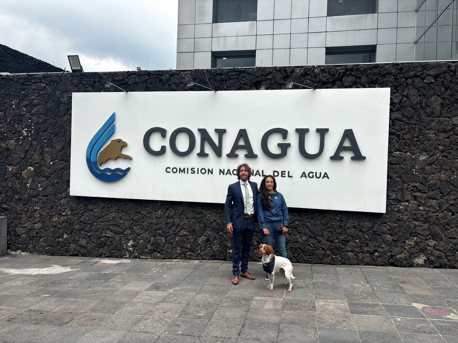 45cd124b-5a03-4505-9e15-a0cb2df4690b.jfif