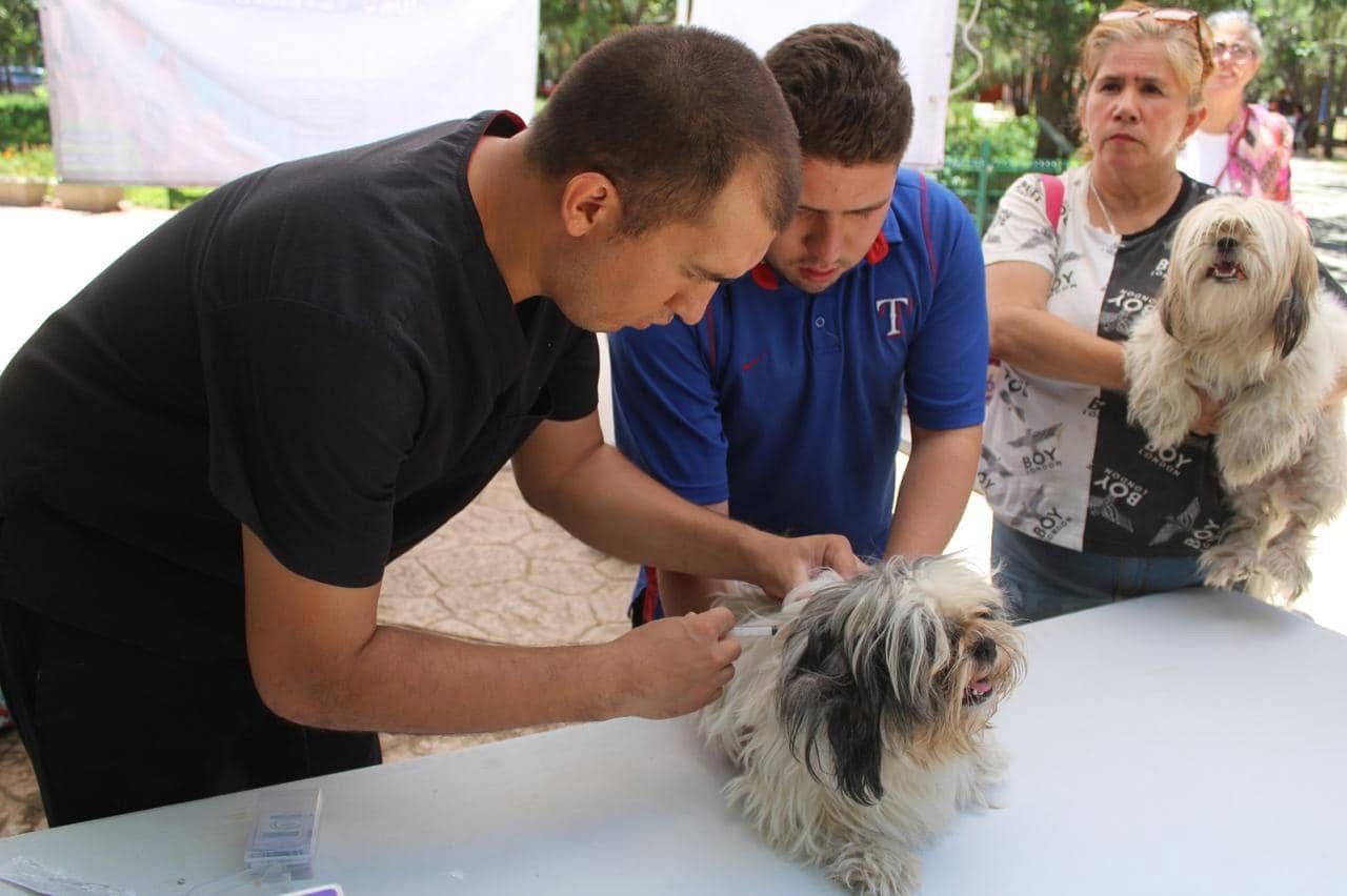 49ac39f1-5fc4-4e58-a421-fc70d3c72829.jfif