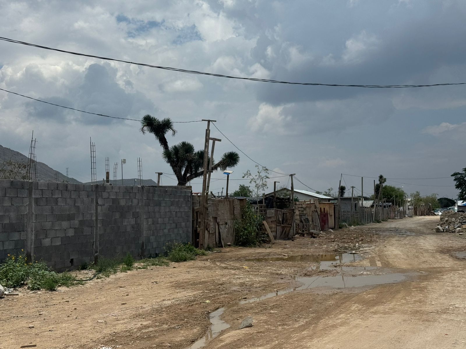 49c110dd-ae24-4f55-9a79-bcd8a22ea38f.jfif