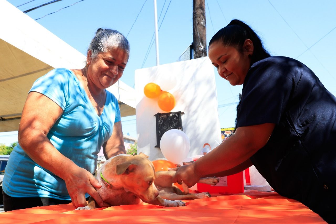 4c163562-ff57-46b2-944d-b3f377fb75d4.jfif