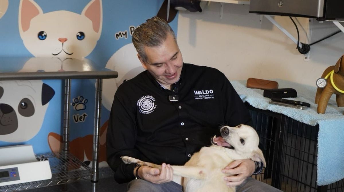 51dfd1bb-e286-46ed-b421-f7f5865bd4c6.jfif