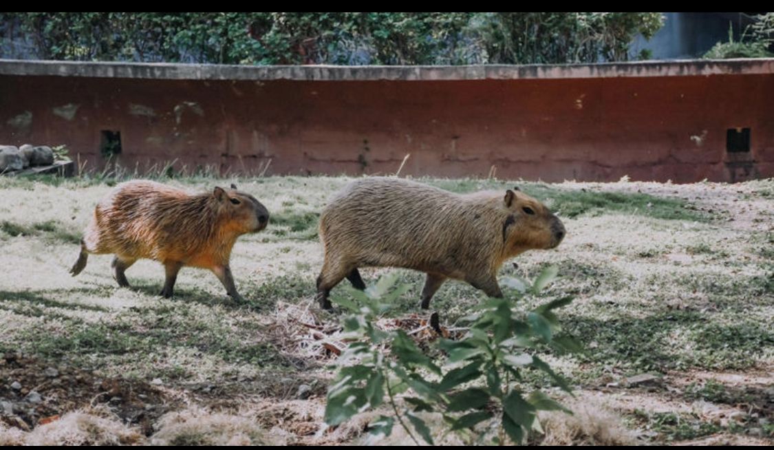 534fced6-d2bc-4a8c-adf2-18c69aff2b8e.jfif