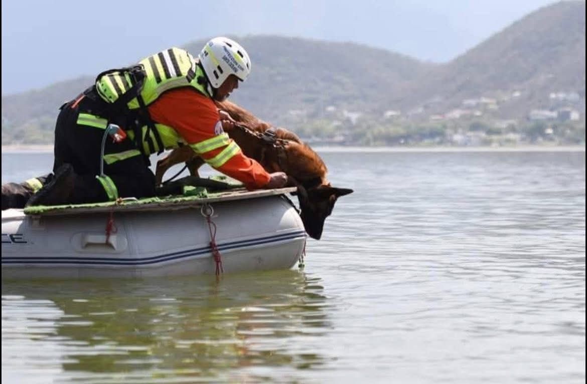 568862c8-c9e1-4c64-b66d-961e485034bc.jfif