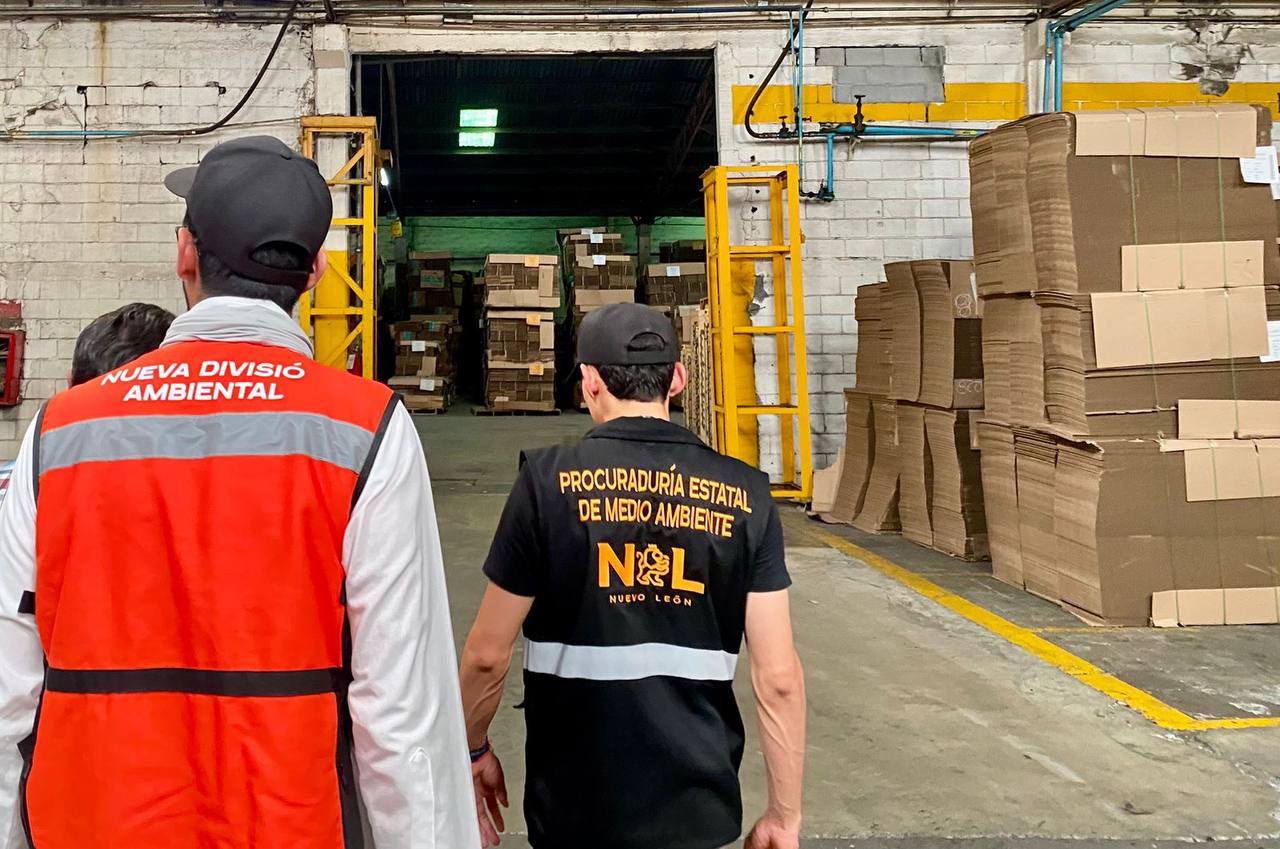 57380c08-8dff-4463-835c-23de1ebe4bef.jfif