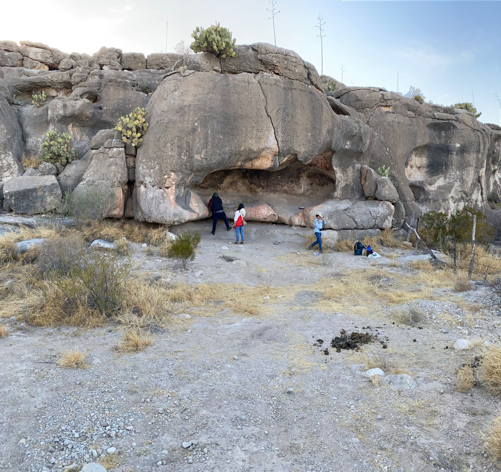 5bcac318-84e9-4cf2-8a0c-4024081d1e8b.jfif