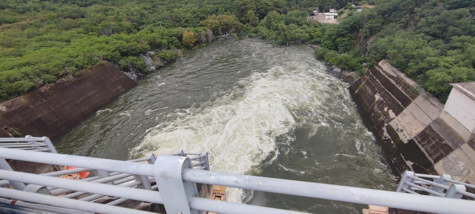 5f44eb37-4fb3-4392-a3cd-cb28639ef441.jfif