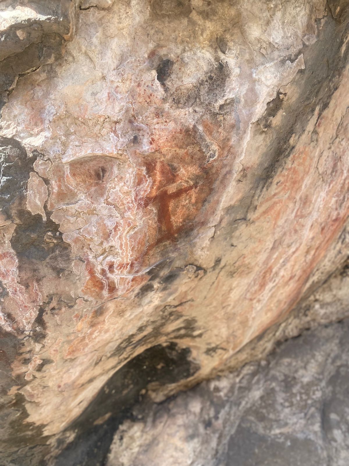 61483671-1103-4539-b60f-fad79838c73f.jfif