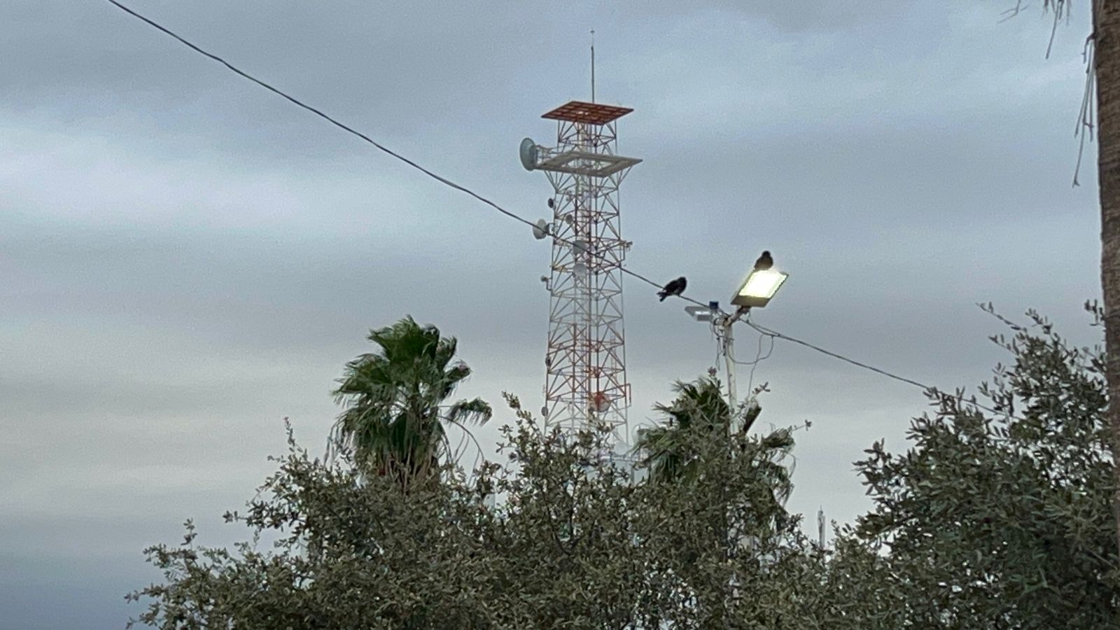 651ab4ab-87bb-4a4e-a9ac-4cfe242c9fbf.jfif