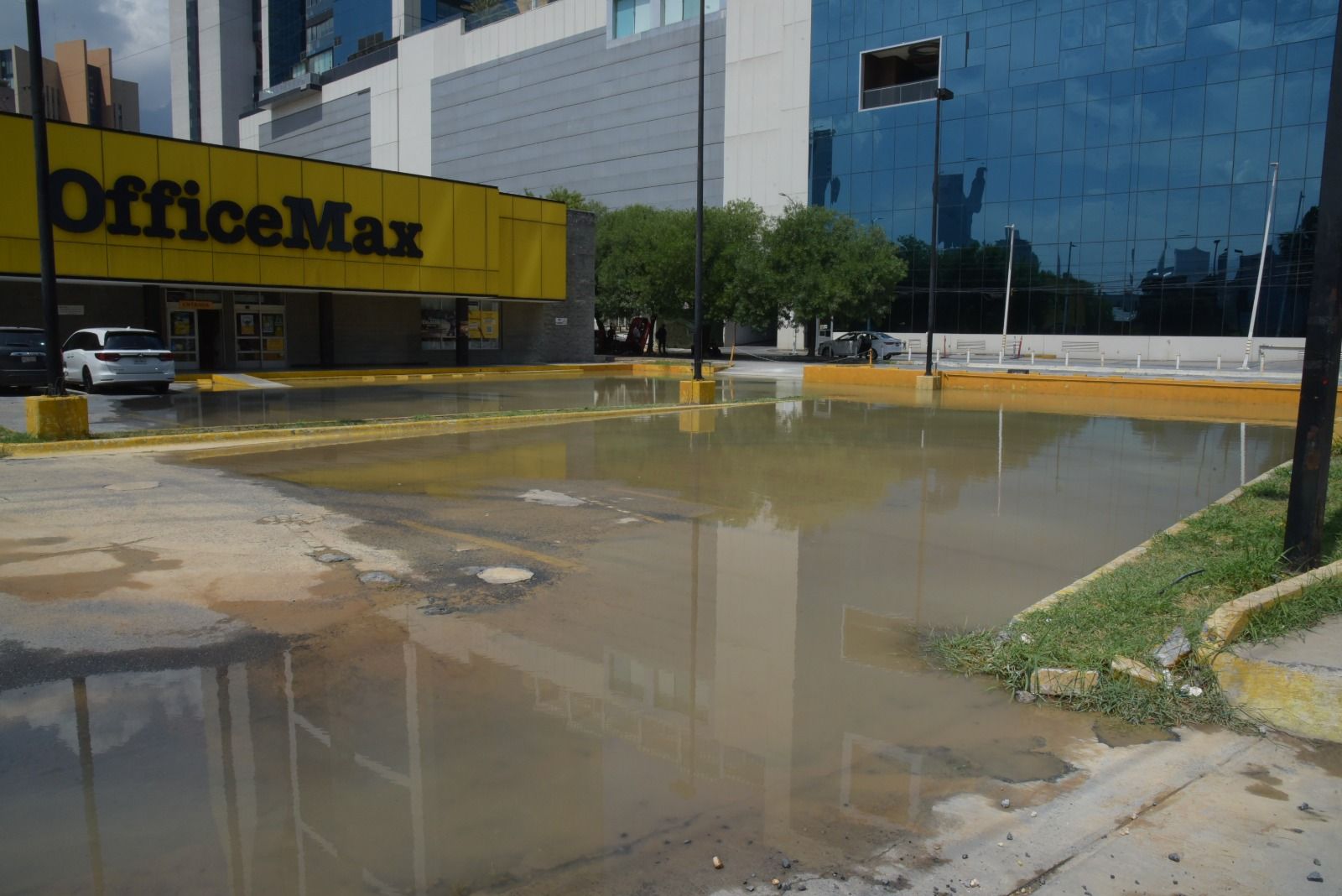 6780eeed-6039-4a74-b73a-407b017996fc.jfif