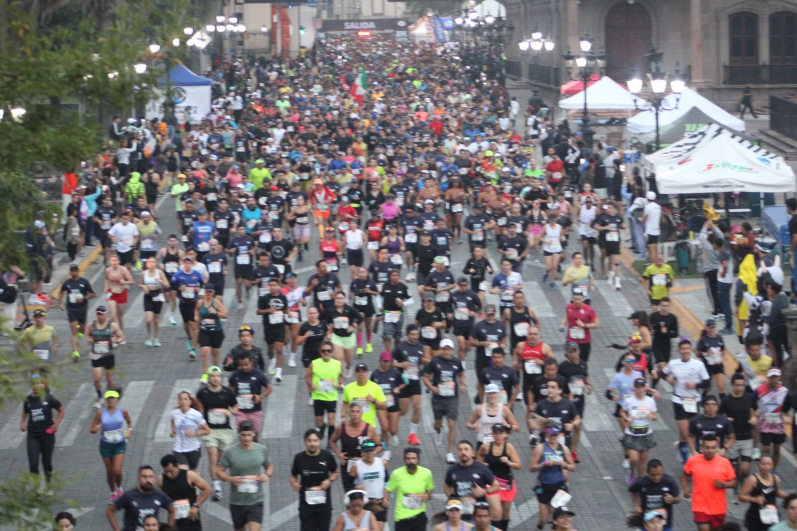 6b8a709e-416a-4e5f-bef0-421d38b38793.jfif