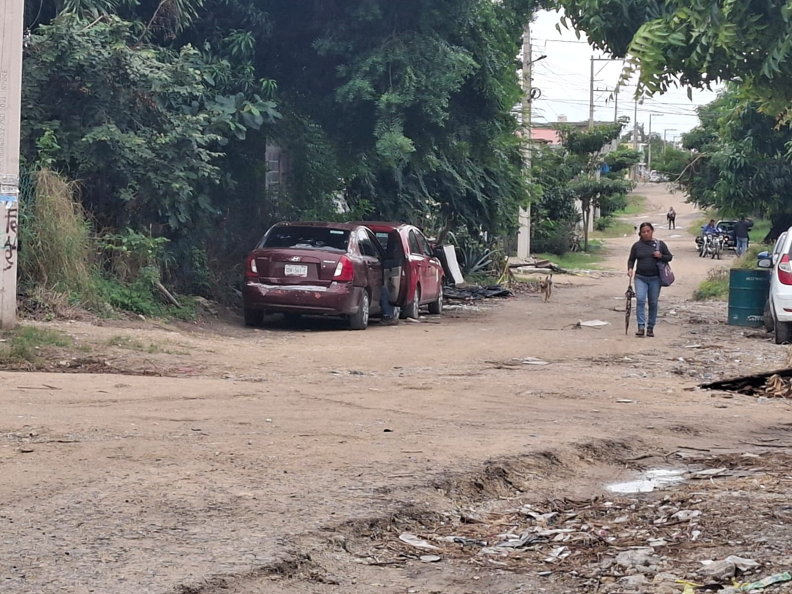 6e489334-3679-464a-8bf5-a1c8f82227fb.jfif