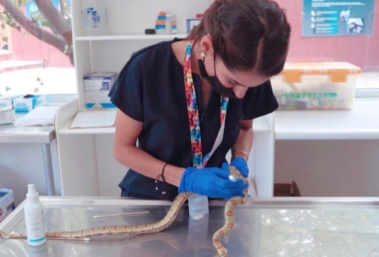 72ff118e-72b3-4779-9c78-c1f773f1d3f1.jfif