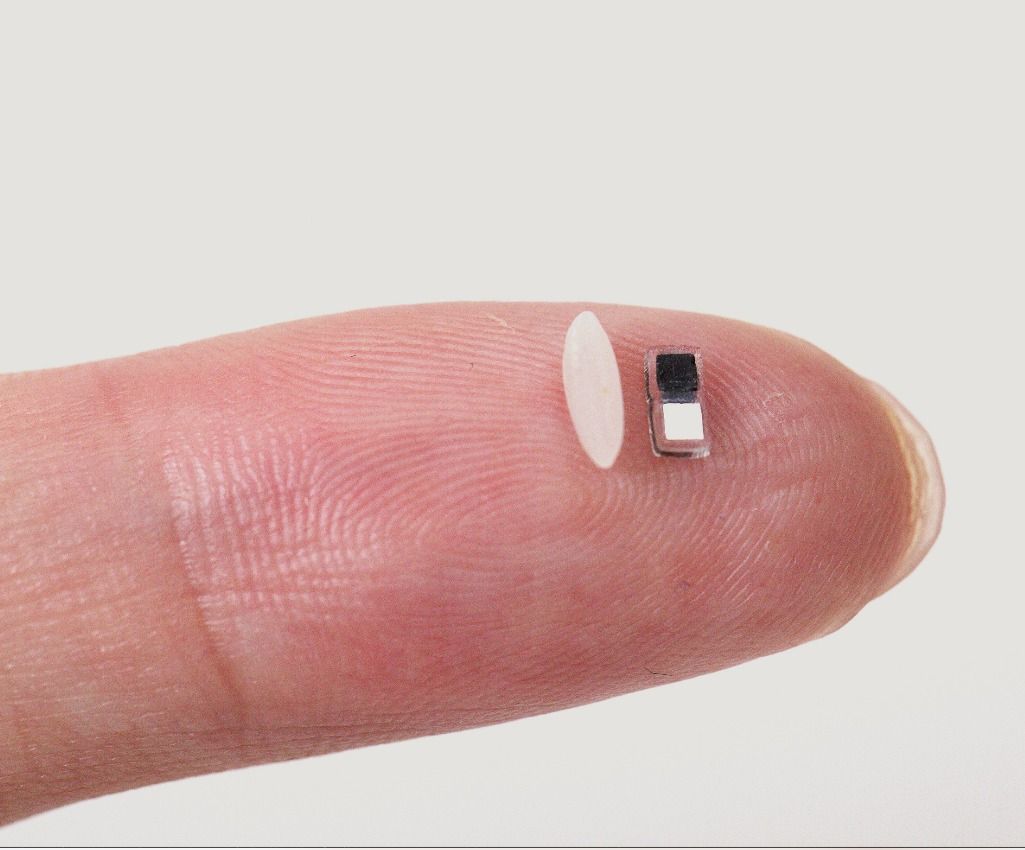 76c2935c-1be7-457c-b51f-e2665a54892e.jfif