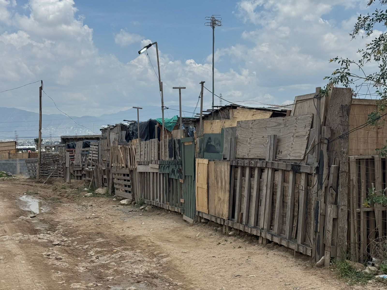 785dbb74-4fdb-45dd-910b-f5387ecf5388.jfif