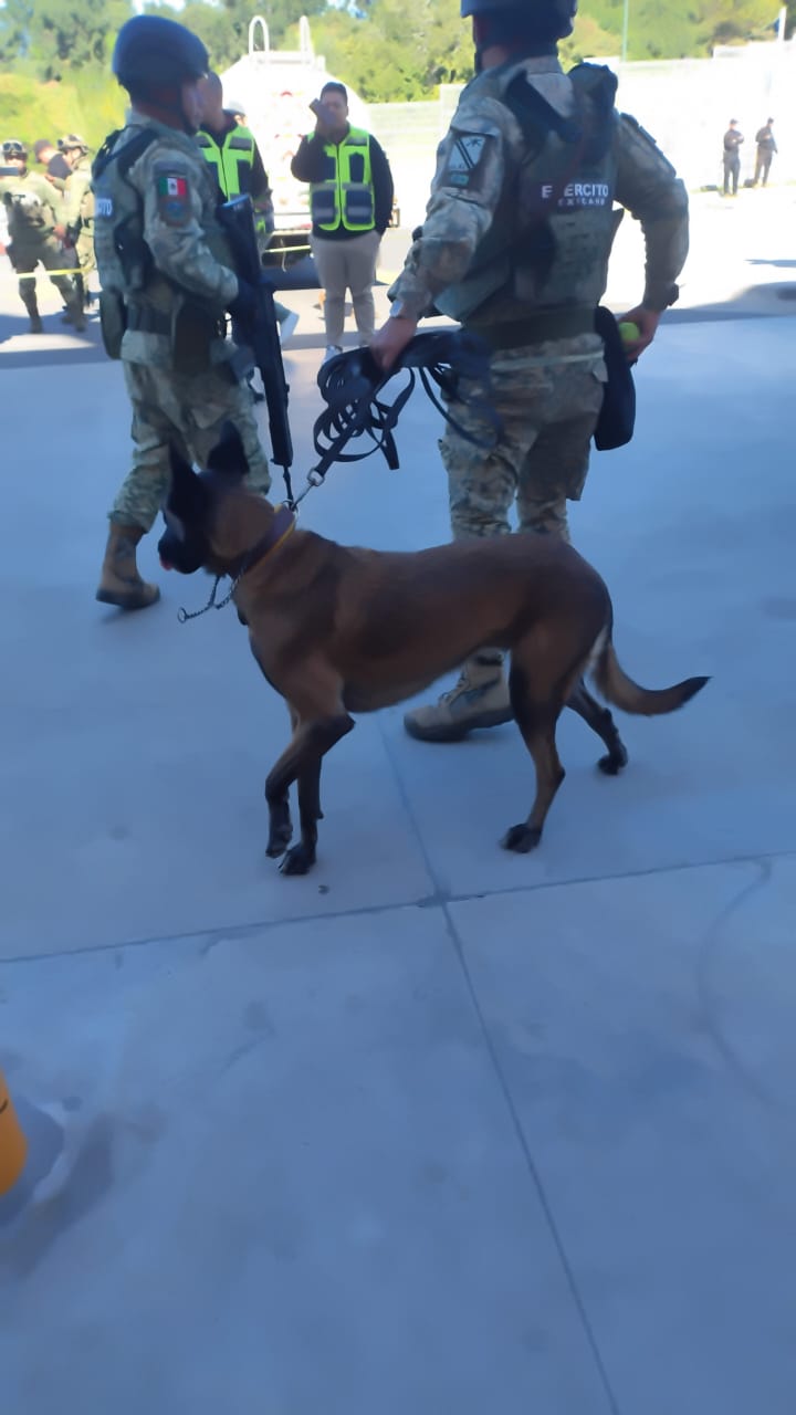 78be9f13-c21c-47e2-b4ec-4dd234a1508f.jfif