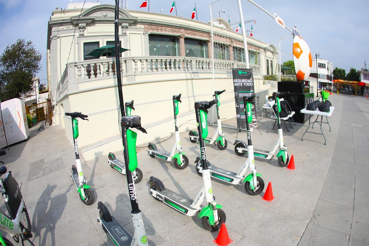 79c477dd-de9d-4e80-b9b9-a3899ee5cc45.jfif