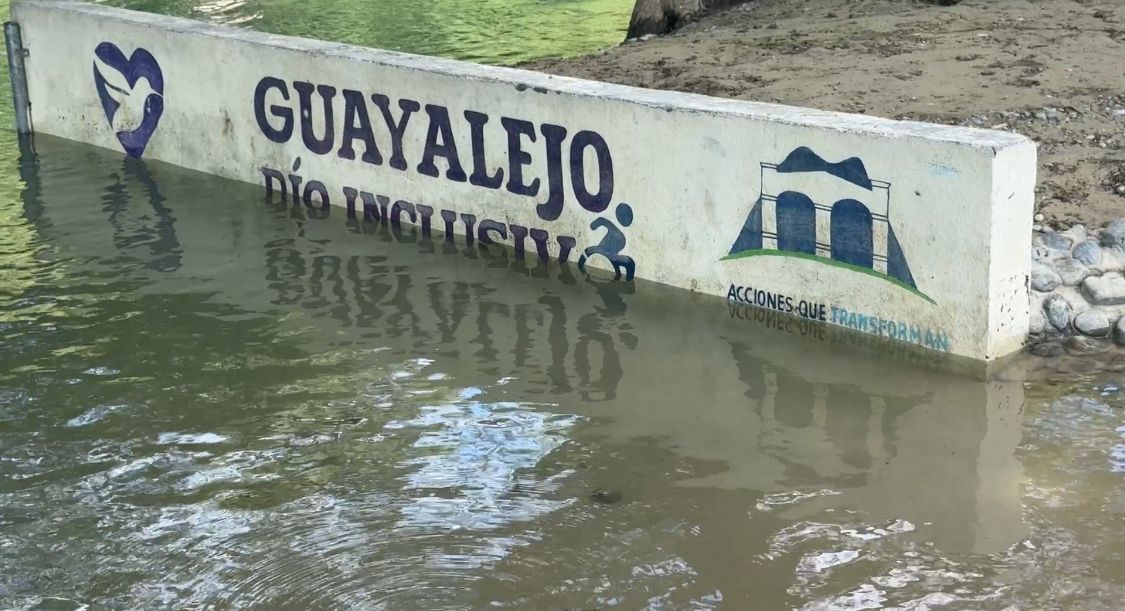 7a49054c-881e-4821-8c20-230ead1e255b.jfif