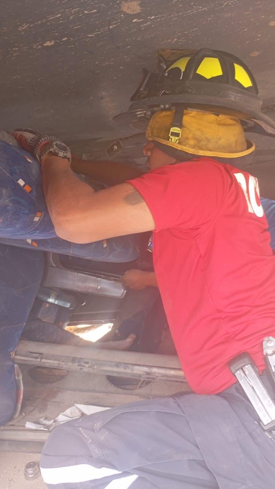 7c19e97a-cd2c-4e17-ae5c-7fd63bc1f206.jfif