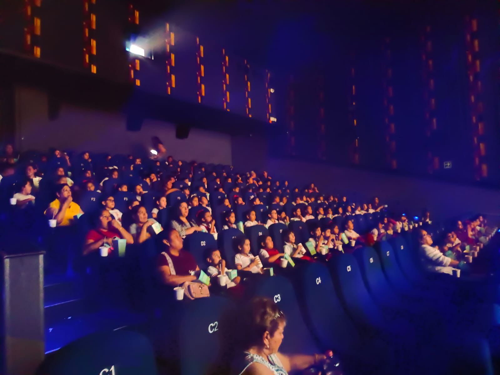 7c244919-41e5-4df3-b9ce-ff0fe1858c39.jfif