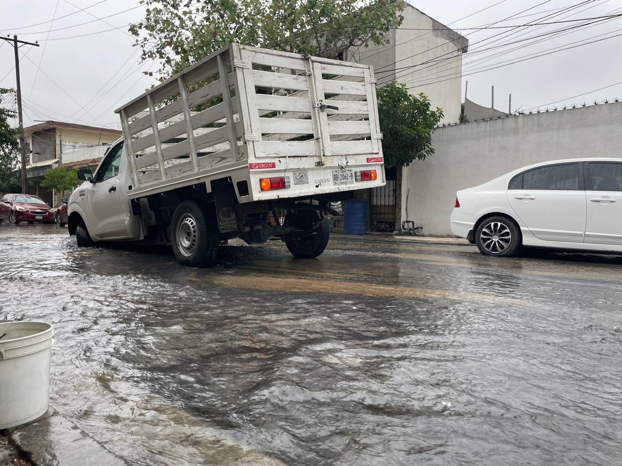 7f4b2898-98b4-485f-89a8-267aba328dde.jfif